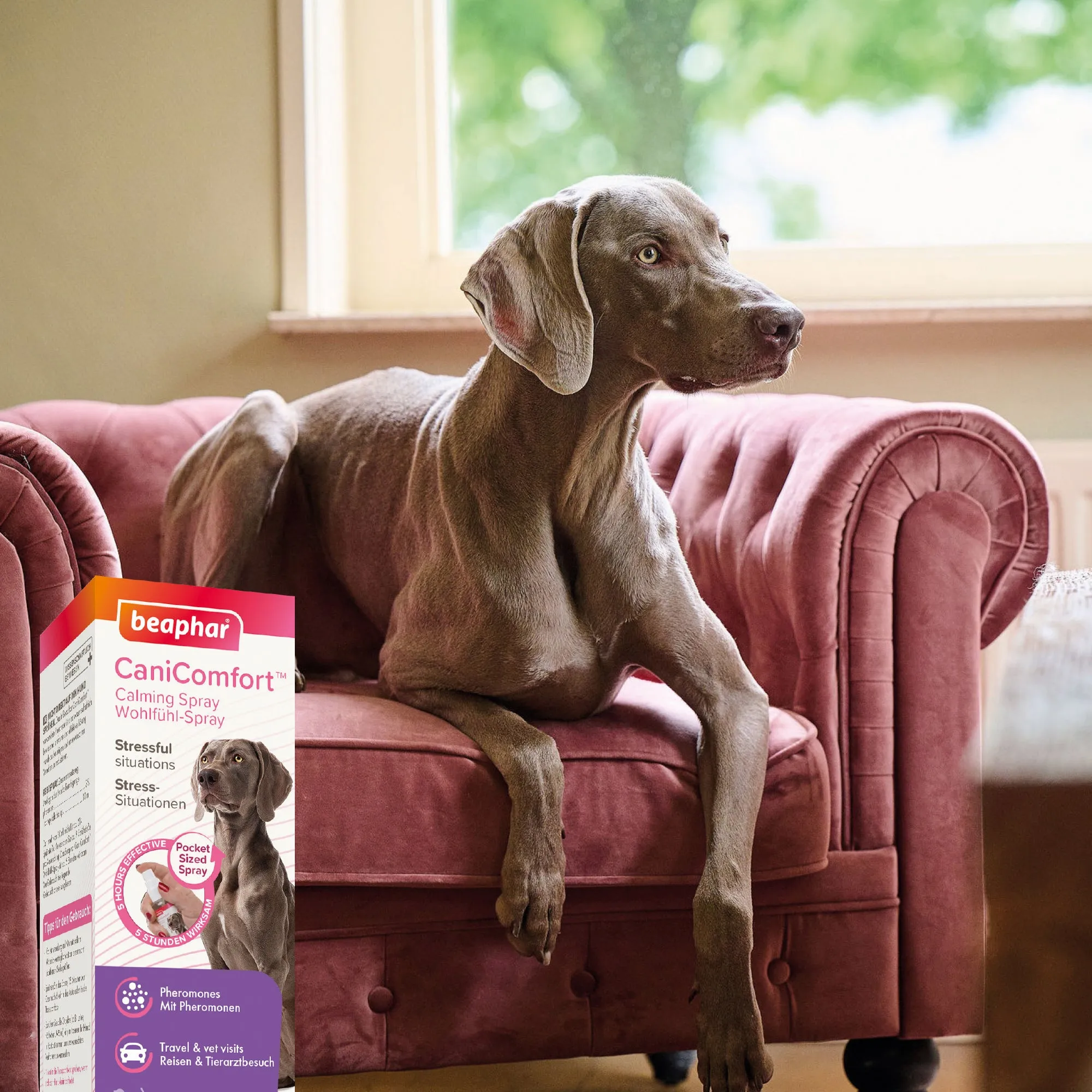 Beaphar Canicomfort Dog Calming Spray 30ml