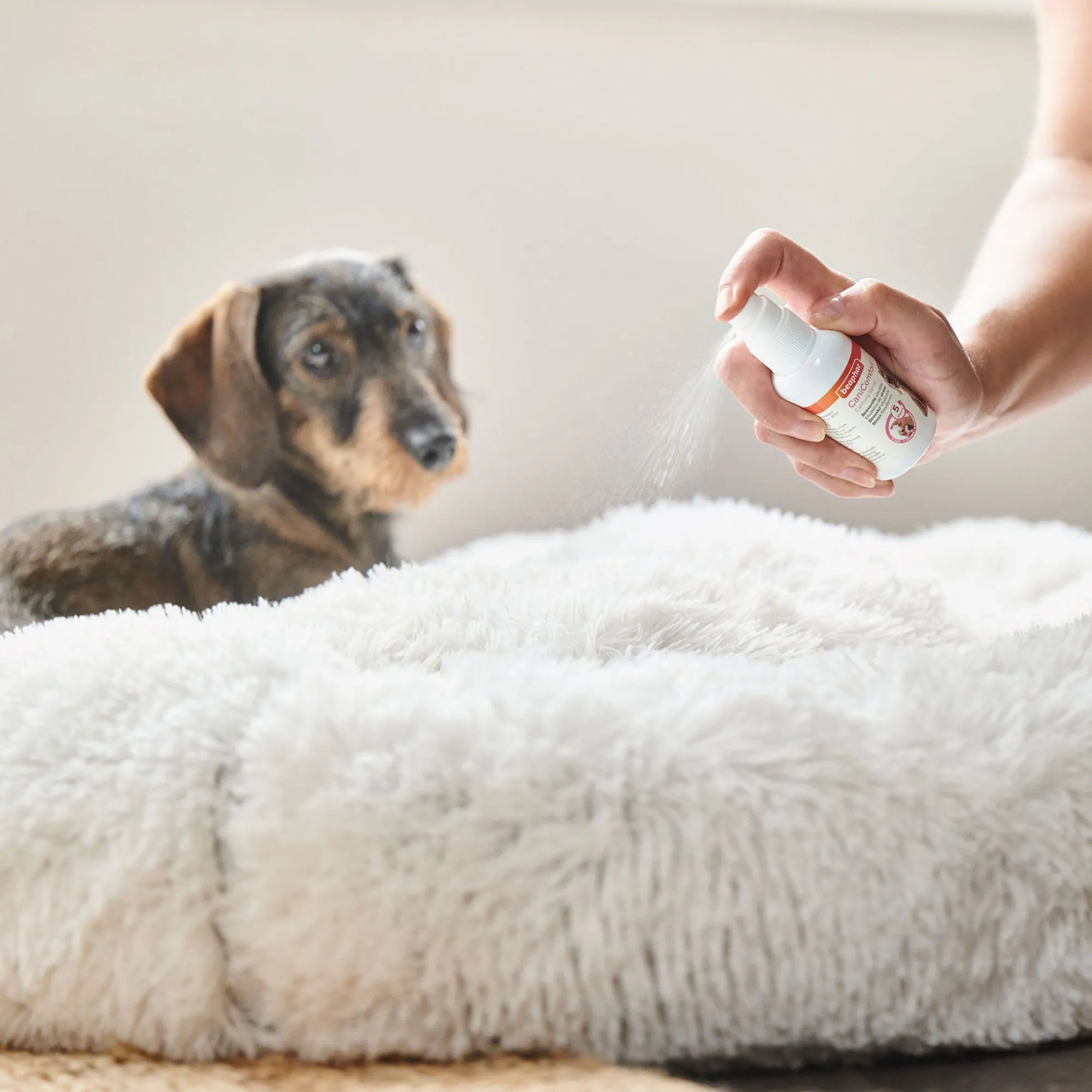 Beaphar Canicomfort Dog Calming Spray 30ml