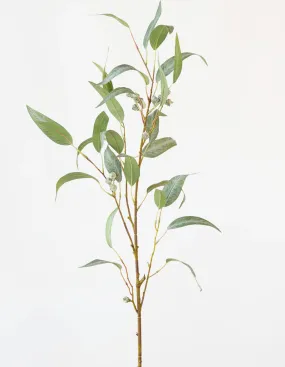 EUCALYPTUS SPRAY GREY GREEN