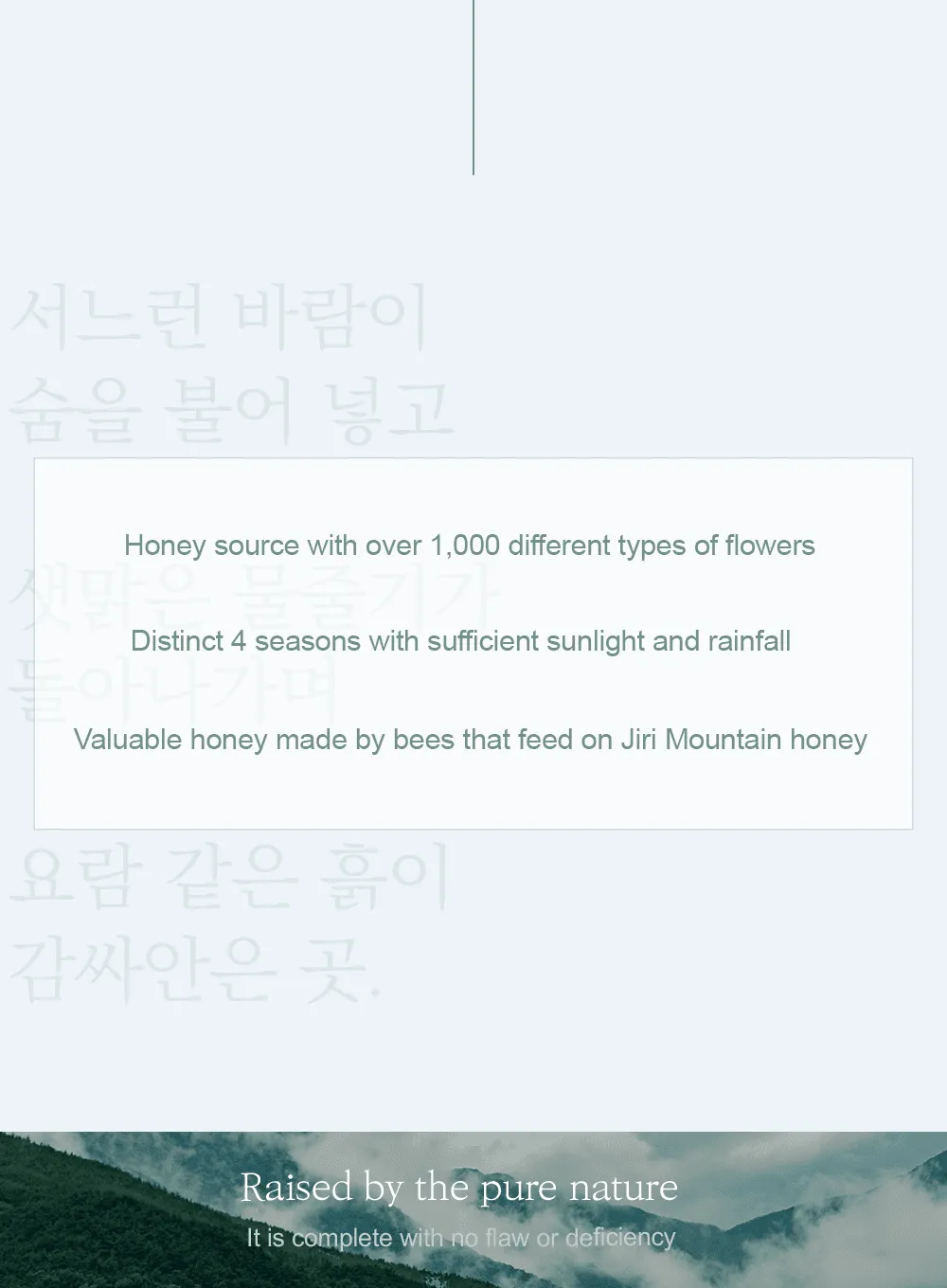 Honey Glow Cream (50g)