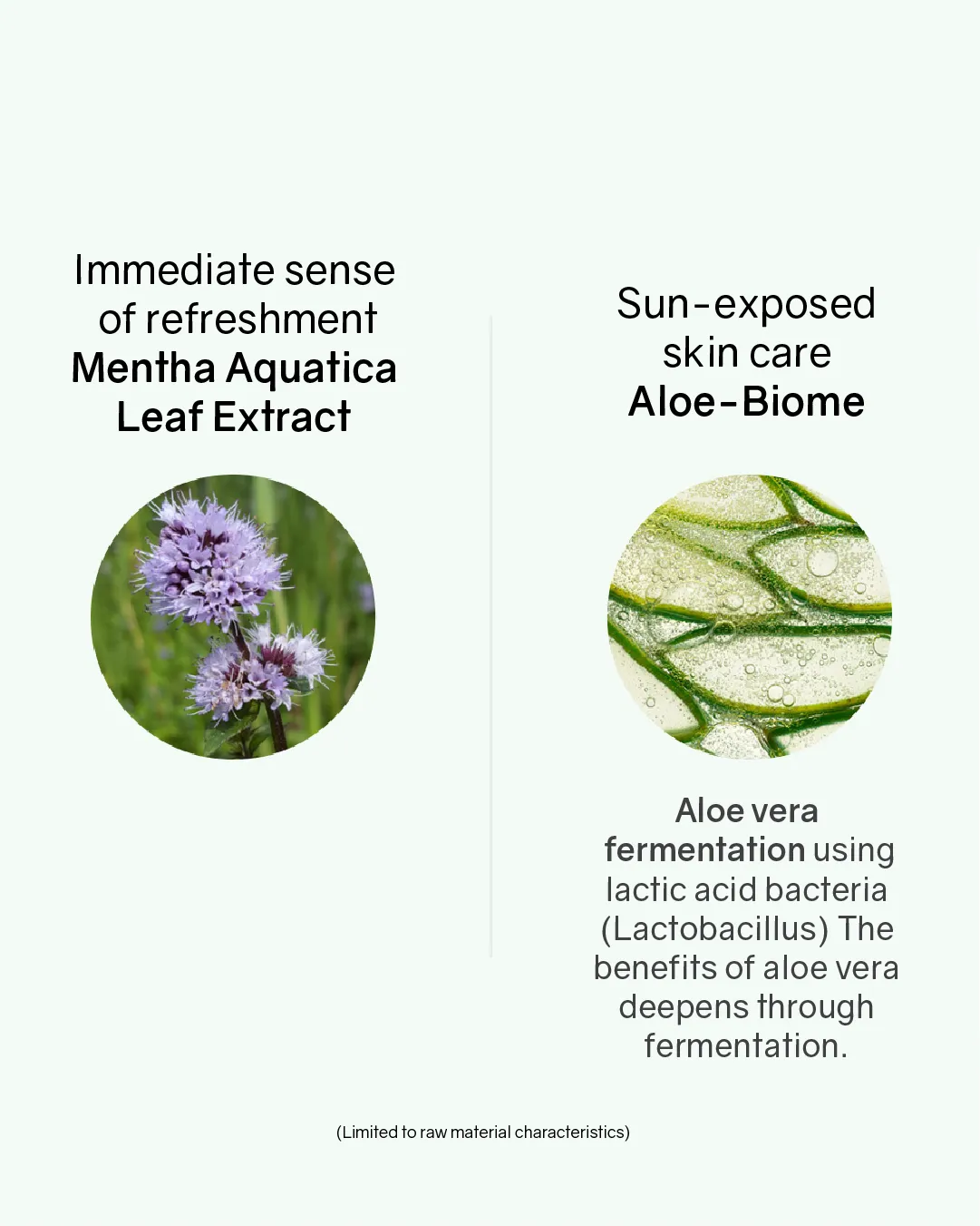 Lavien Cool Moist Essence Sun Cushion