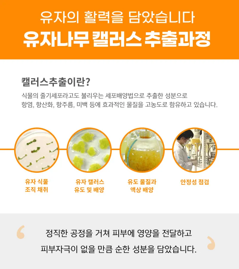 Made in Korea Dr.HEDISON Vita Brighening Turn on Cream 30ml 2 1