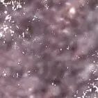Statement Shimmer Liner - 008 SHIMMER TAUPE (3 units)